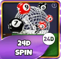 24D Spin